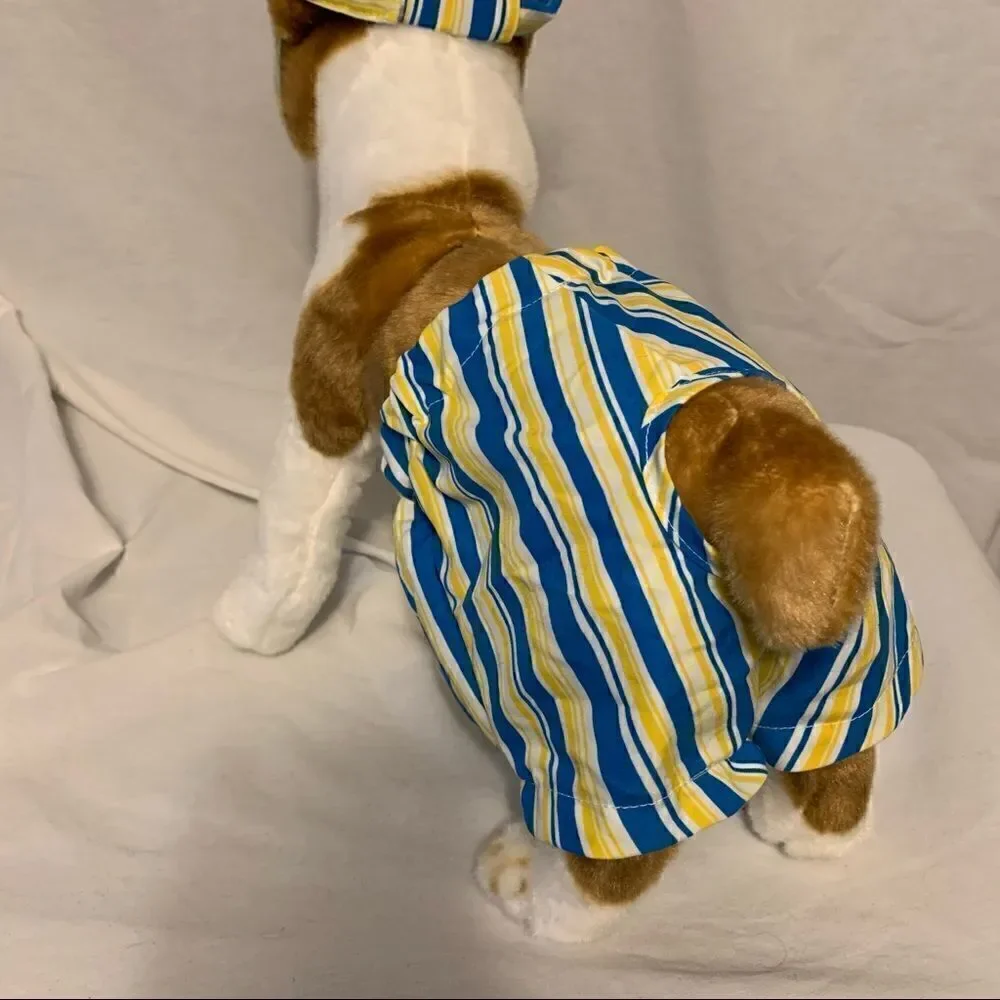 Doggie Blue and Yellow Shorts and Visor Set Sz M